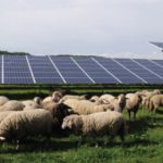 Why National Battery Strategy Fails Without State-Level Insight