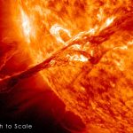 Review of NSW Solar Bonus Scheme Forecasts