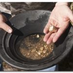 ProfitVoltaics – Putting the Profit back into PV