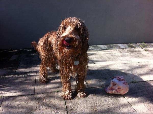 Clean Energy Week and June Synopsis